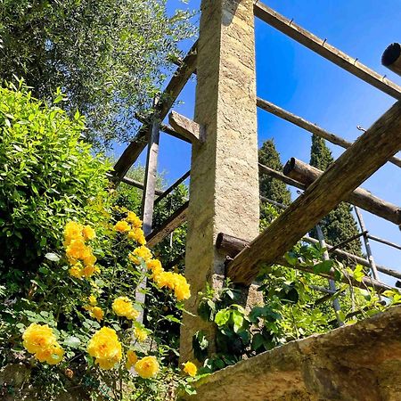 Hotel Gardenia Al Lago ガルニャーノ エクステリア 写真